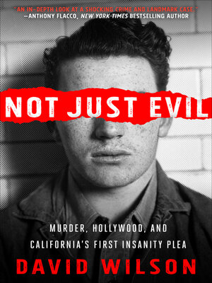 cover image of Not Just Evil